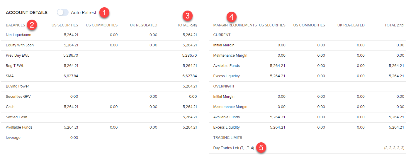 The eCAM account details window