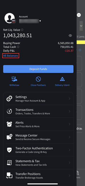 The all balances button on the iPhone