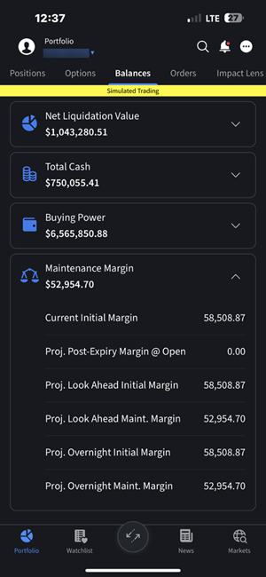 The Maintenance Margin section on the iPhone. 