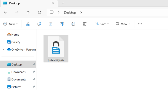 The public key file location window