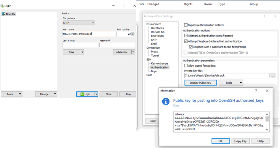 The PuTTYgen display public key