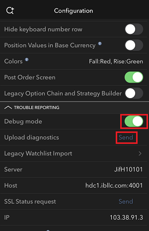 The iPhone enable debug mode menu