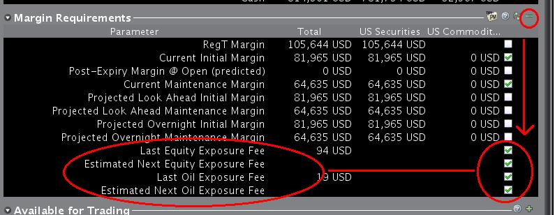 The margin requirements window 
