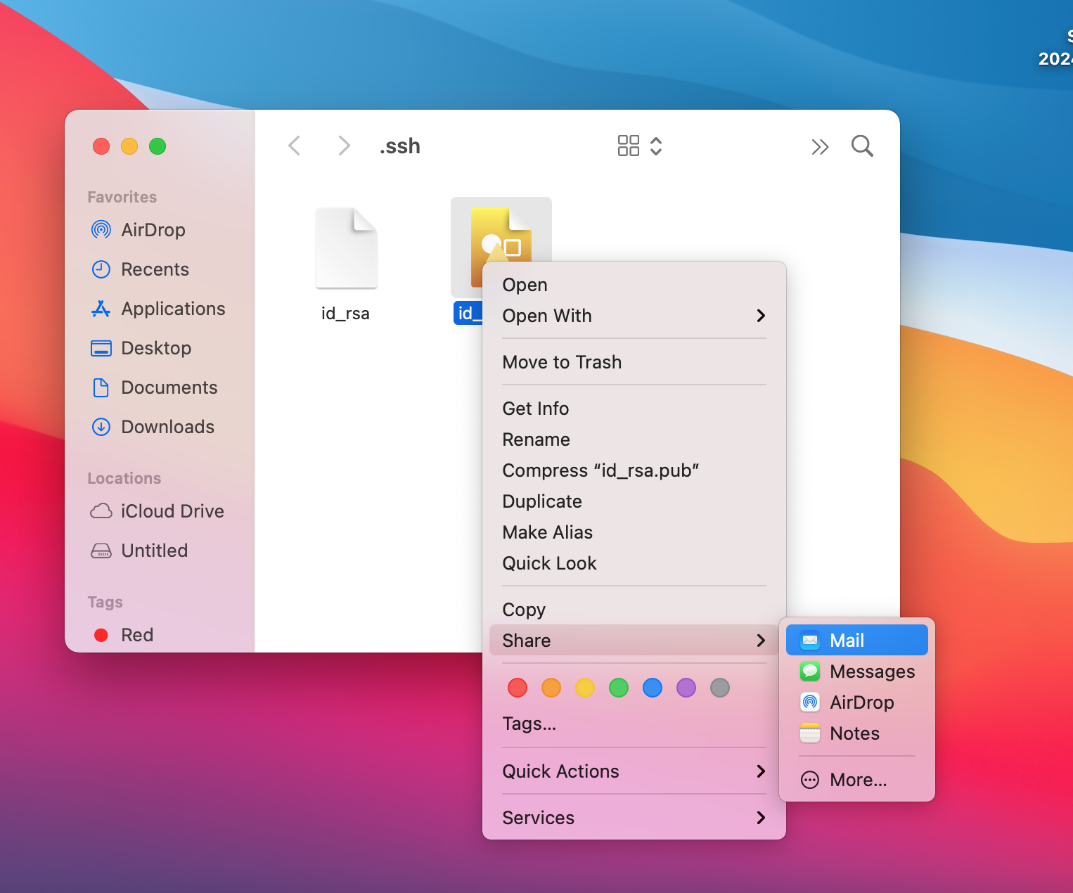 The RSA Key Pair share & mail option