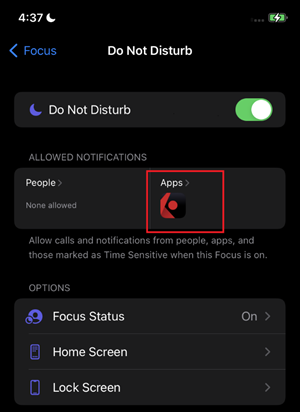 The iPhone focus do not disturb allowed notifications option. 