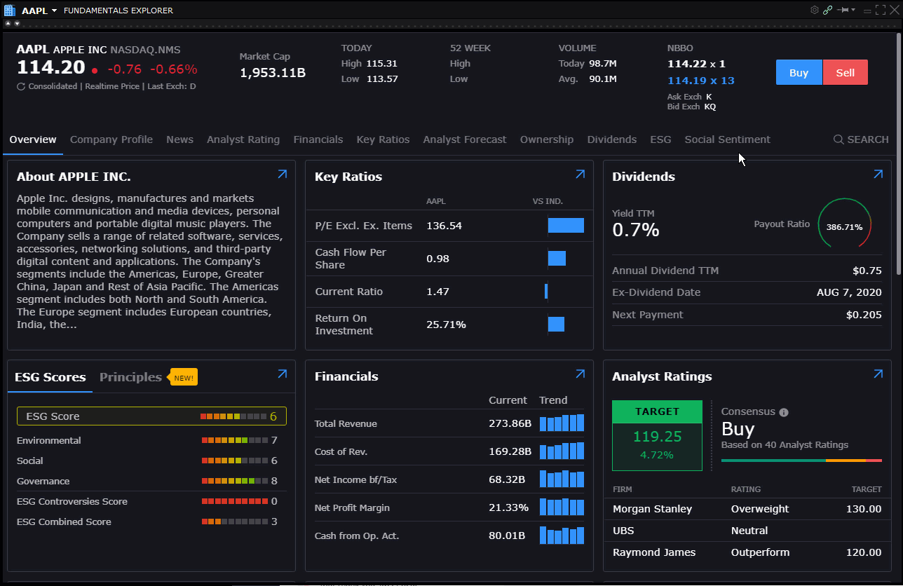 The Widget in Fundamentals Explorer